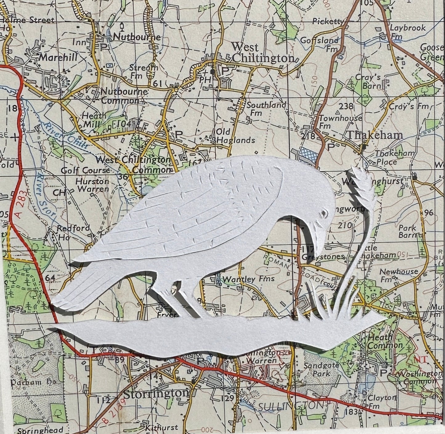Storrington Crow