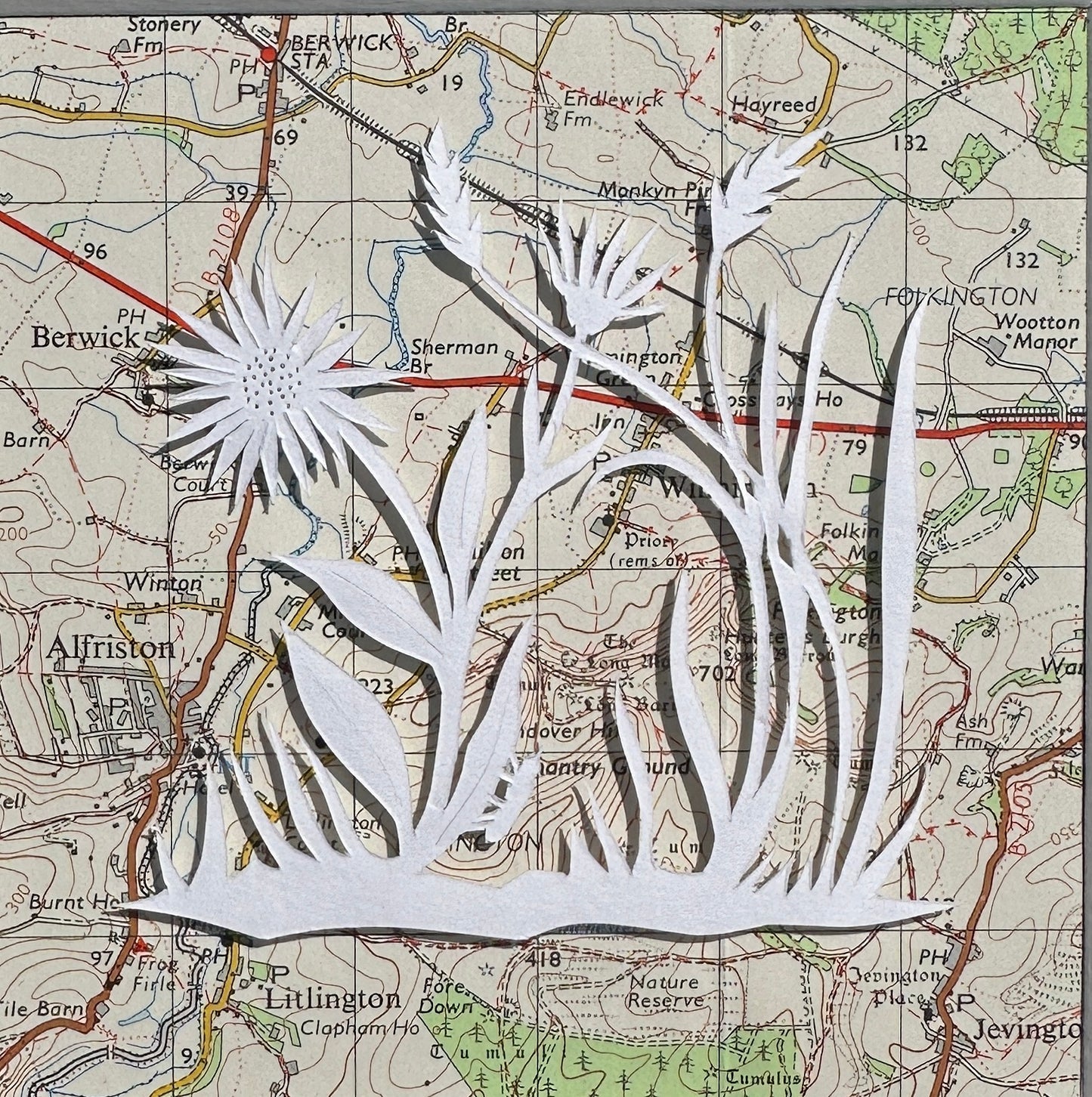 A group of flowers and grasses over an OS map extract