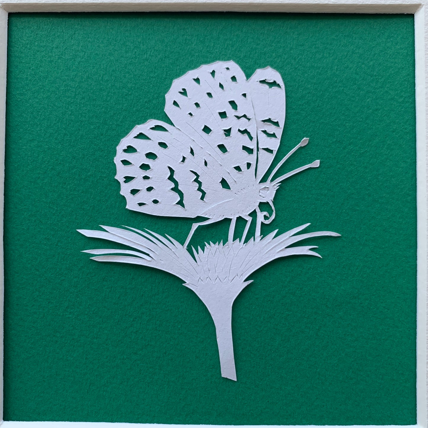 Bespoke Papercut