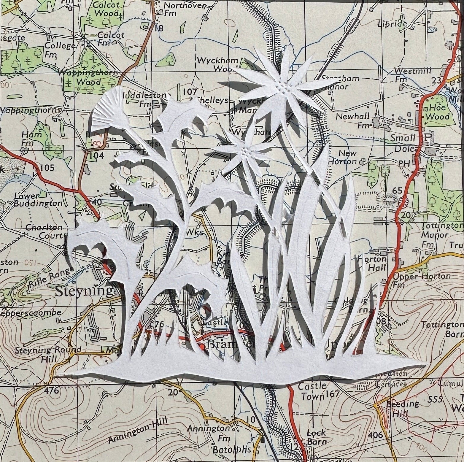 Papercut of a thistle and flowers over and OS map extract